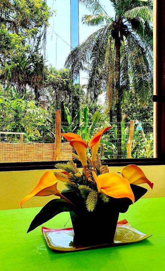 Bela Ipe Pousada Hostel Apart Morro de São Paulo Zewnętrze zdjęcie
